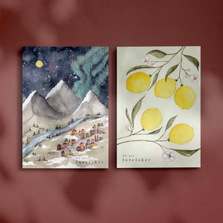 Bundle "Die letzten 2"