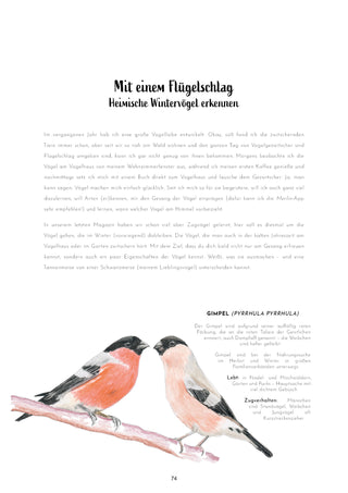 Cozy Nights, Northern Lights (#10)