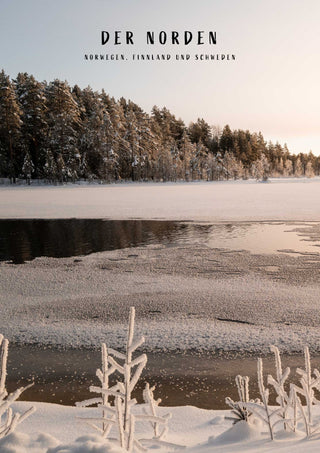 Cozy Nights, Northern Lights (#10)