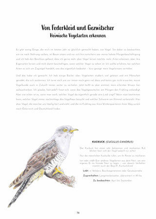 Vögel bestimmen im we are Forelsket Magazin