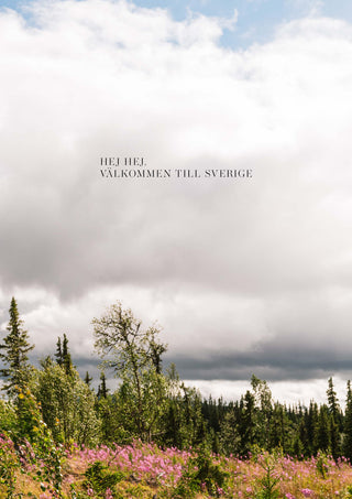 weare Forelsket Magazin Sonnenblumen mit vegane Rezepte Reiseberichte Hundegeschichten Achtsamkeit